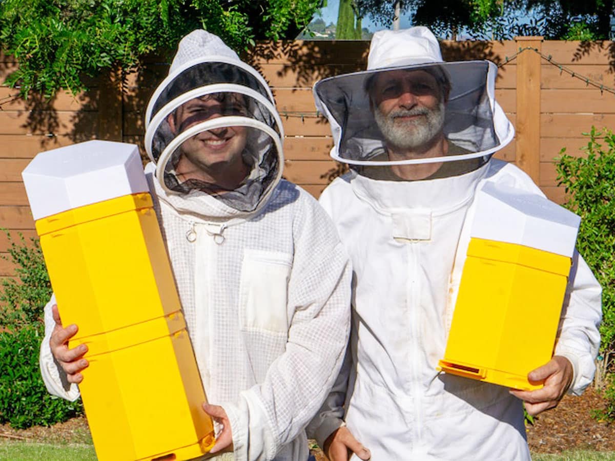 Hex Hives: World's First Fully 3D Printed Beehive | KA3DP