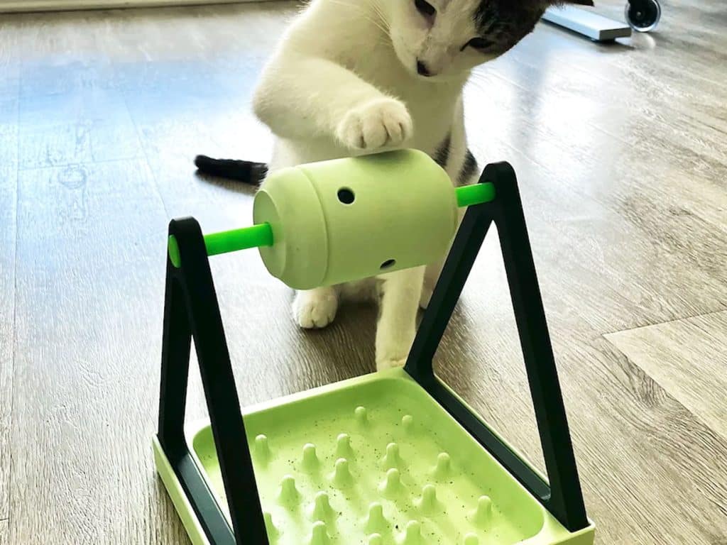 Pet Spring Treat Puzzle Toy Cat Treat Dispenser With Feather Spring Spring Cat  Treat Dispenser Toy Indoor Cat Food Dispensing Puzzle Toy Interactive Cat  Toy Pet Spring Treat Toy 